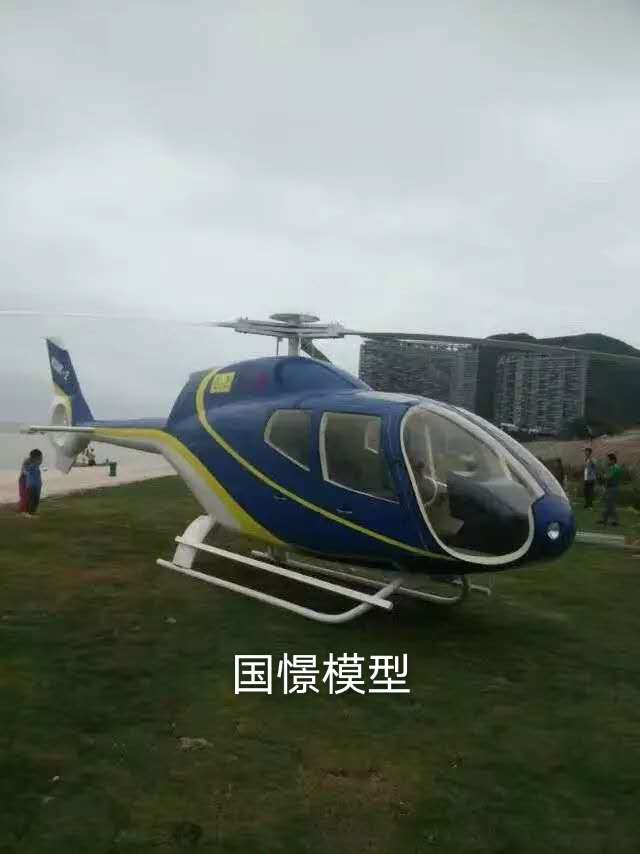 漳州飞机模型