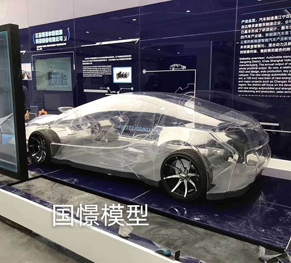 漳州透明车模型